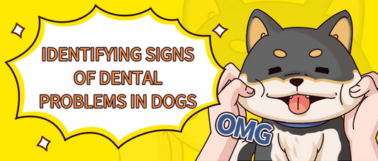 Identifying Signs Of Dental Problems In Dogs