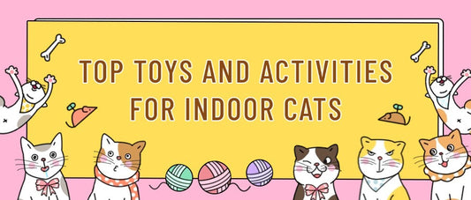 Top Toys And Activities For Indoor Cats