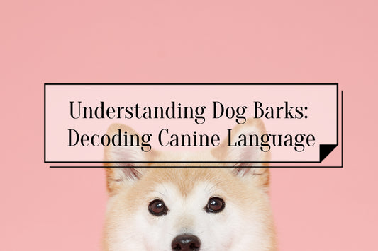 Title: How to understand dog barks