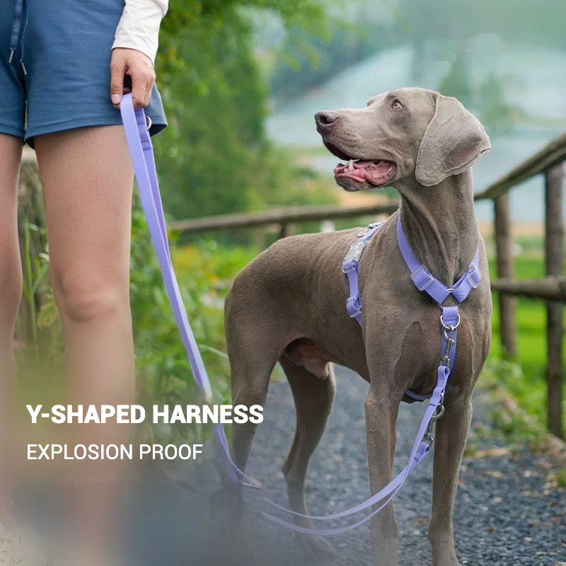 Waterproof Series Dog Collar Leash Harness