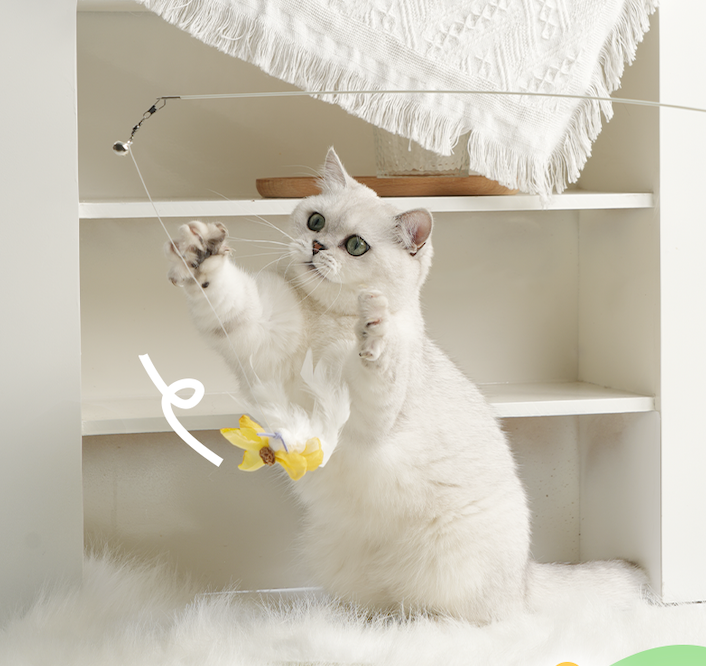 Springtime Series Retractable Cat-Teasing Wand