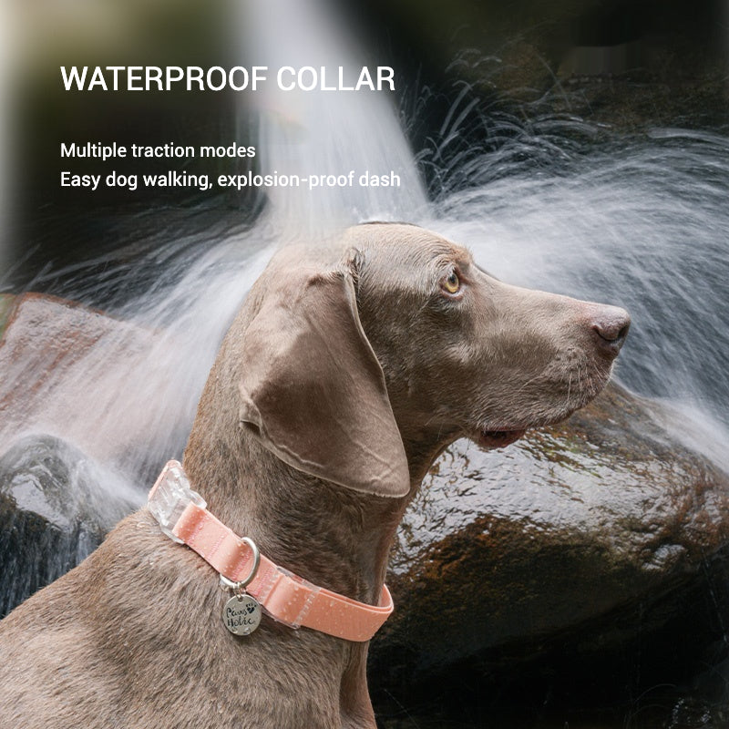 Waterproof Series Dog Collar Leash Harness