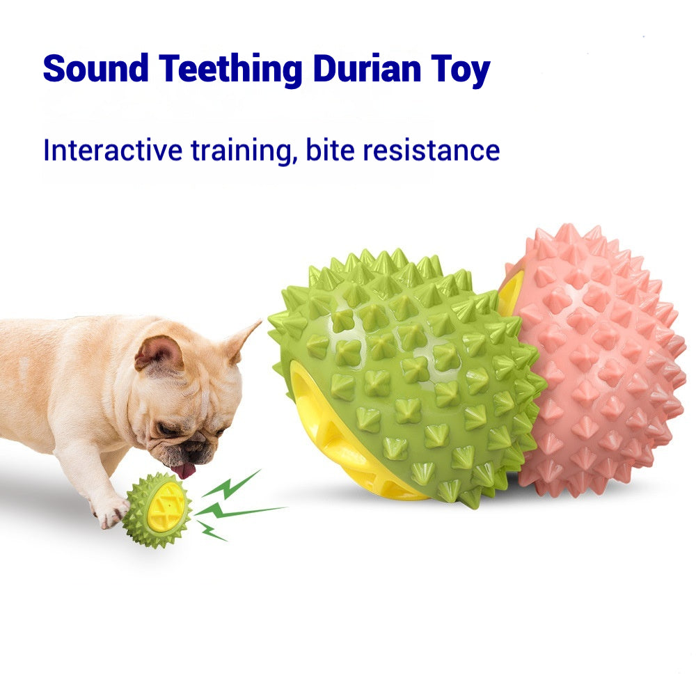 Dog Squeaky Toy Dog Molar Toy