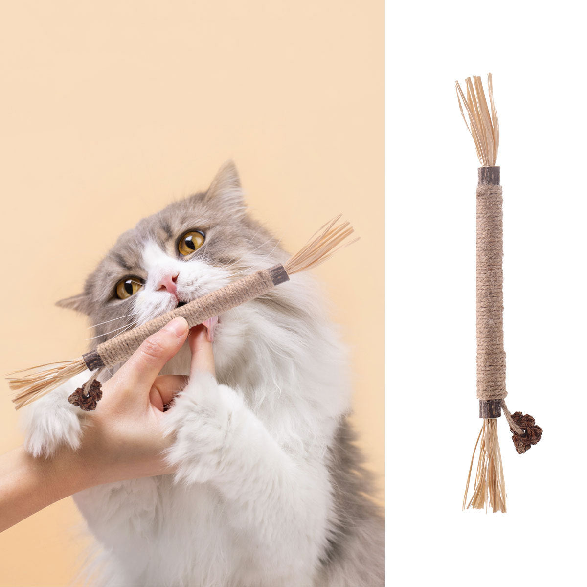 Cat Wooden Polygonum Stick Molar Stick