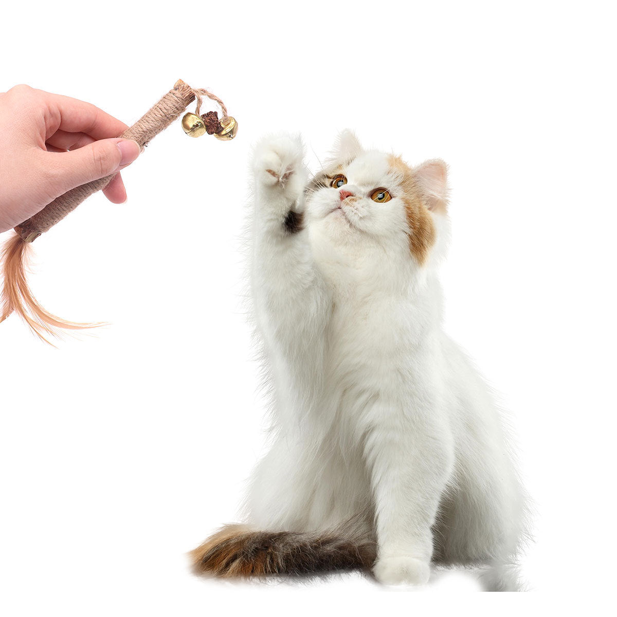 Cat Wooden Polygonum Stick Molar Stick