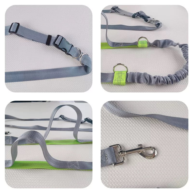 Outdoor Running Reflective Double Telescopic Dog Leash