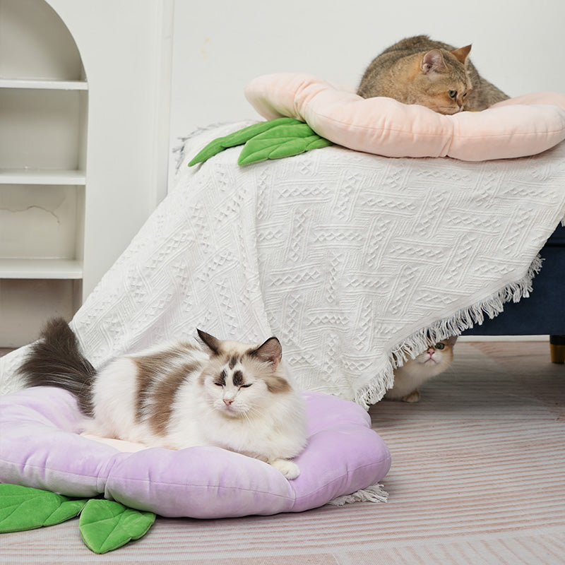 Floral bed-Cat Beds for Indoor Cats, Machine Washable