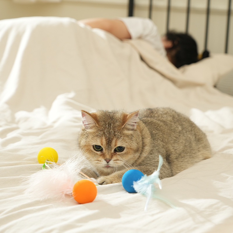 3Pcs Quiet Feather Cat Ball, Funny Interactive Cat Toys