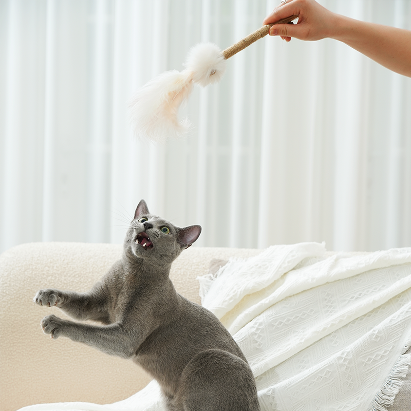 Silvervine Stick Chew Toy for Kittens Teeth Cleaning, 2 Styles Available