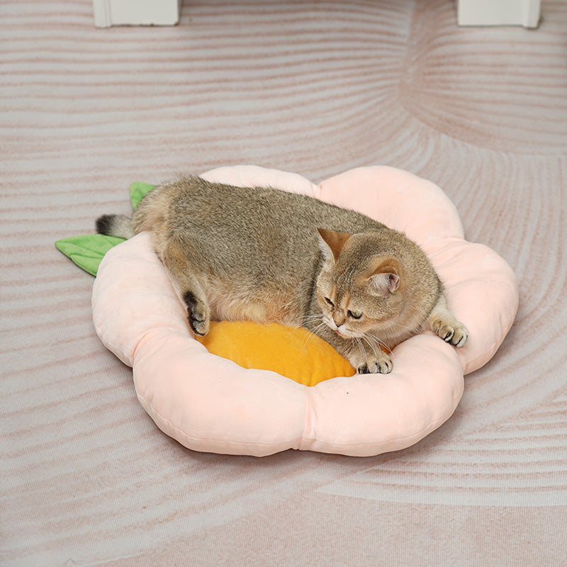 Floral bed-Cat Beds for Indoor Cats, Machine Washable