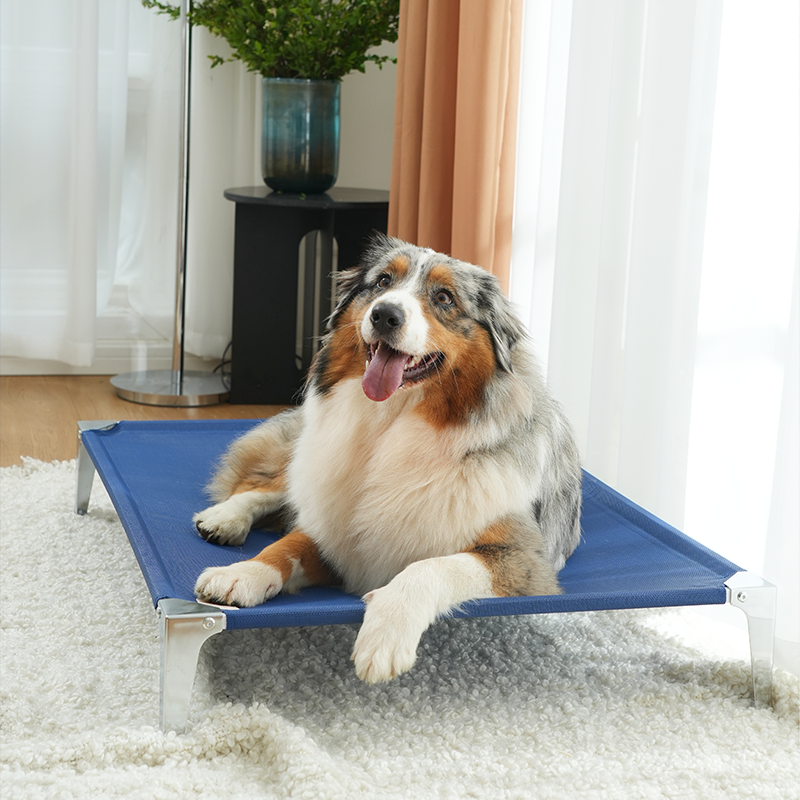 Cooling Elevated Pet Bed, Portable Indoor & Outdoor