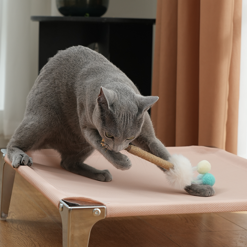 Silvervine Stick Chew Toy for Kittens Teeth Cleaning, 2 Styles Available