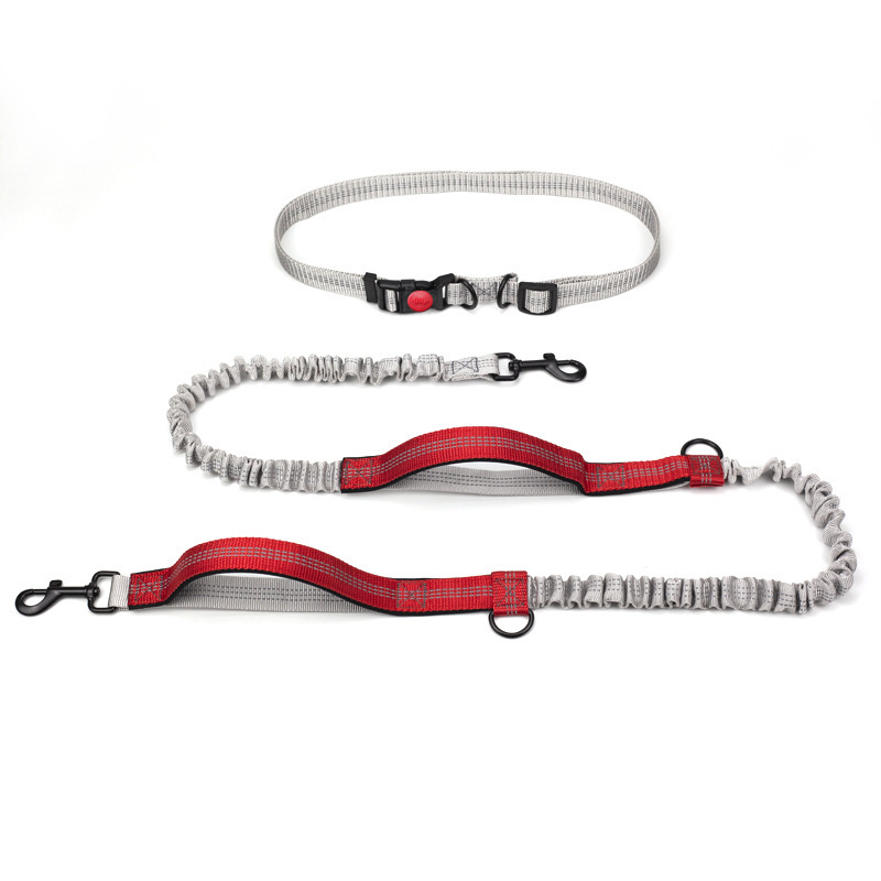 Outdoor Running Reflective Double Telescopic Dog Leash
