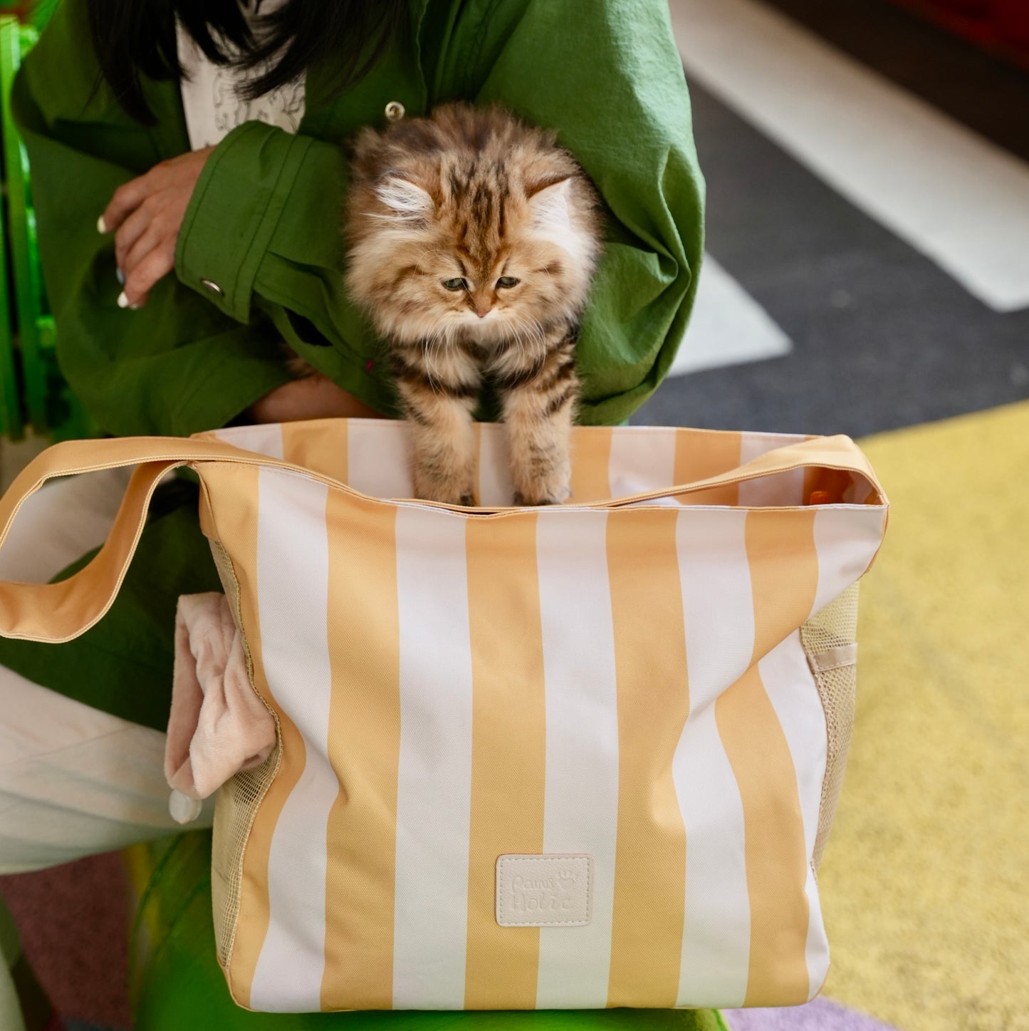 3 Colors Lightweight Striped Pet Carrier Backpack, Foldable Puppy Backpack for Shopping