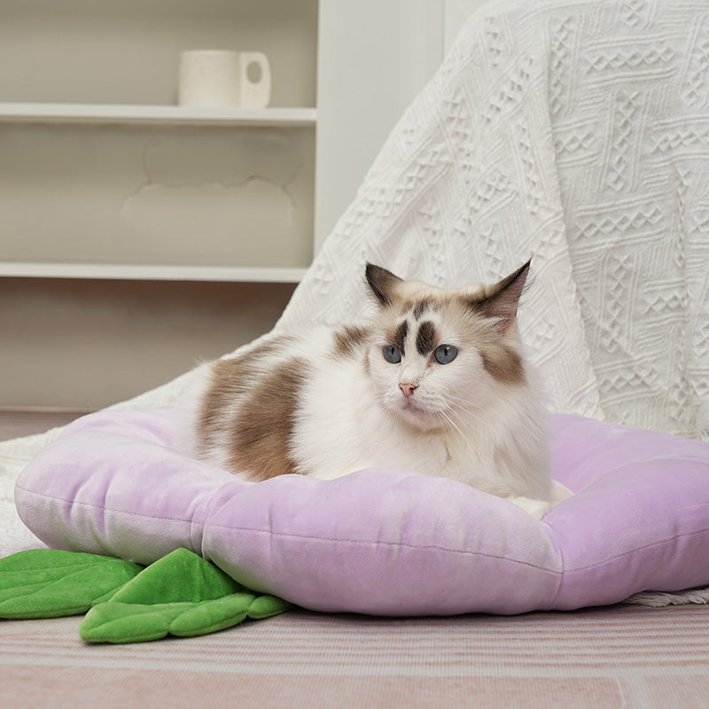 Floral bed-Cat Beds for Indoor Cats, Machine Washable