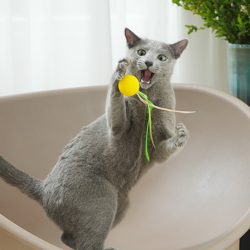 3Pcs Quiet Feather Cat Ball, Funny Interactive Cat Toys