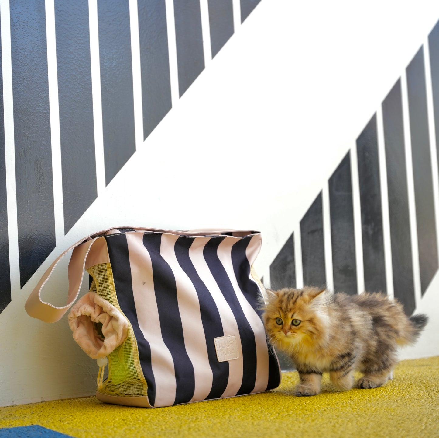 3 Colors Lightweight Striped Pet Carrier Backpack, Foldable Puppy Backpack for Shopping