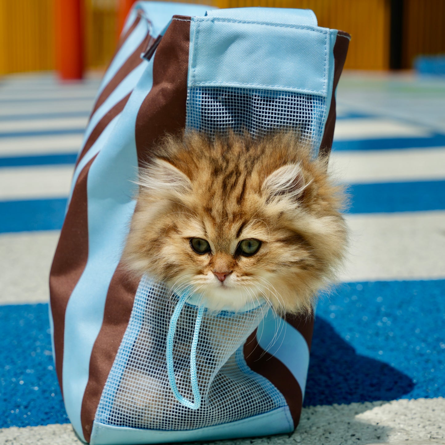 3 Colors Lightweight Striped Pet Carrier Backpack, Foldable Puppy Backpack for Shopping