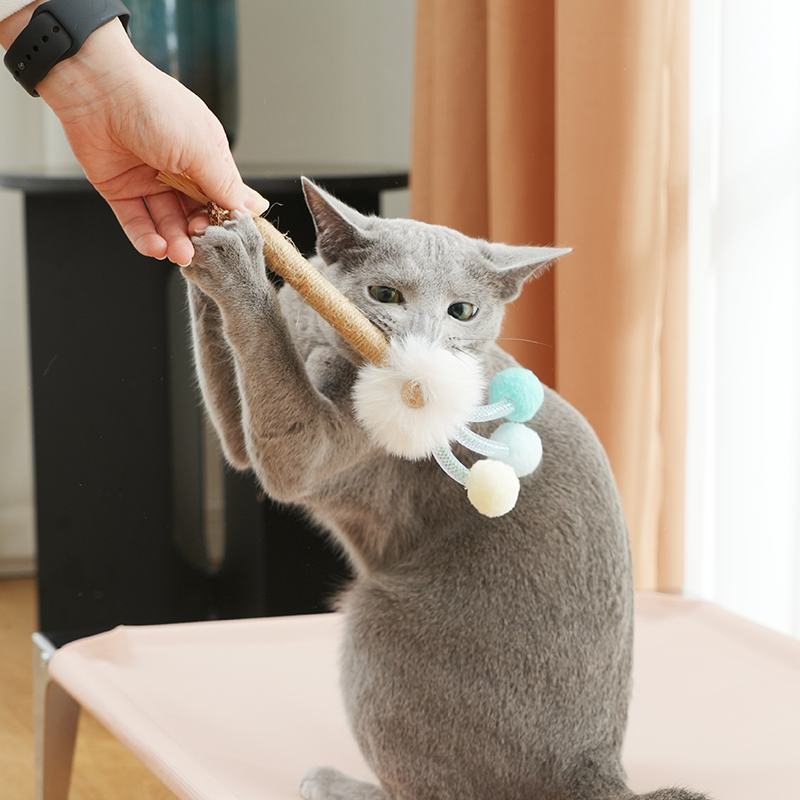 Silvervine Stick Chew Toy for Kittens Teeth Cleaning, 2 Styles Available