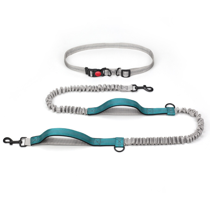 Outdoor Running Reflective Double Telescopic Dog Leash