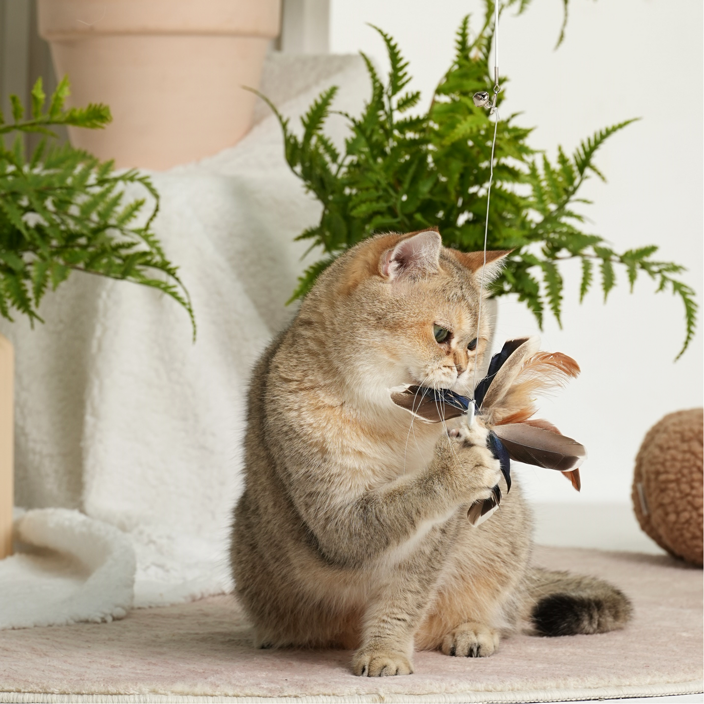 Insect Series Retractable Cat-Teasing Stick