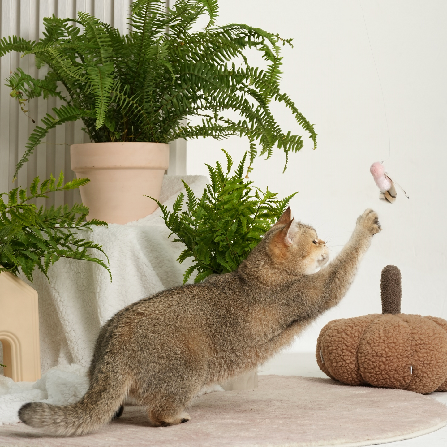 Insect Series Retractable Cat-Teasing Stick