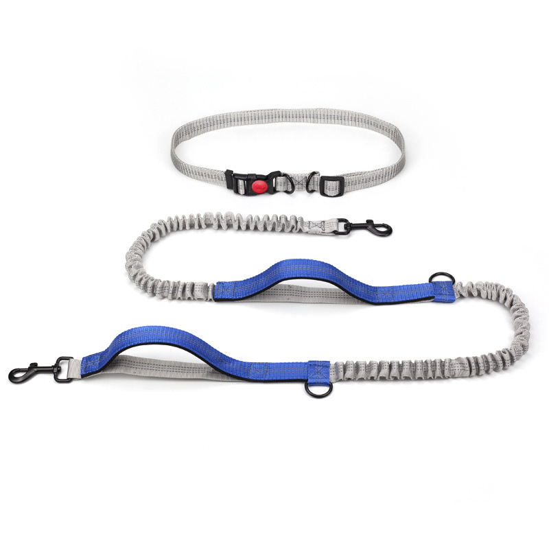 Outdoor Running Reflective Double Telescopic Dog Leash