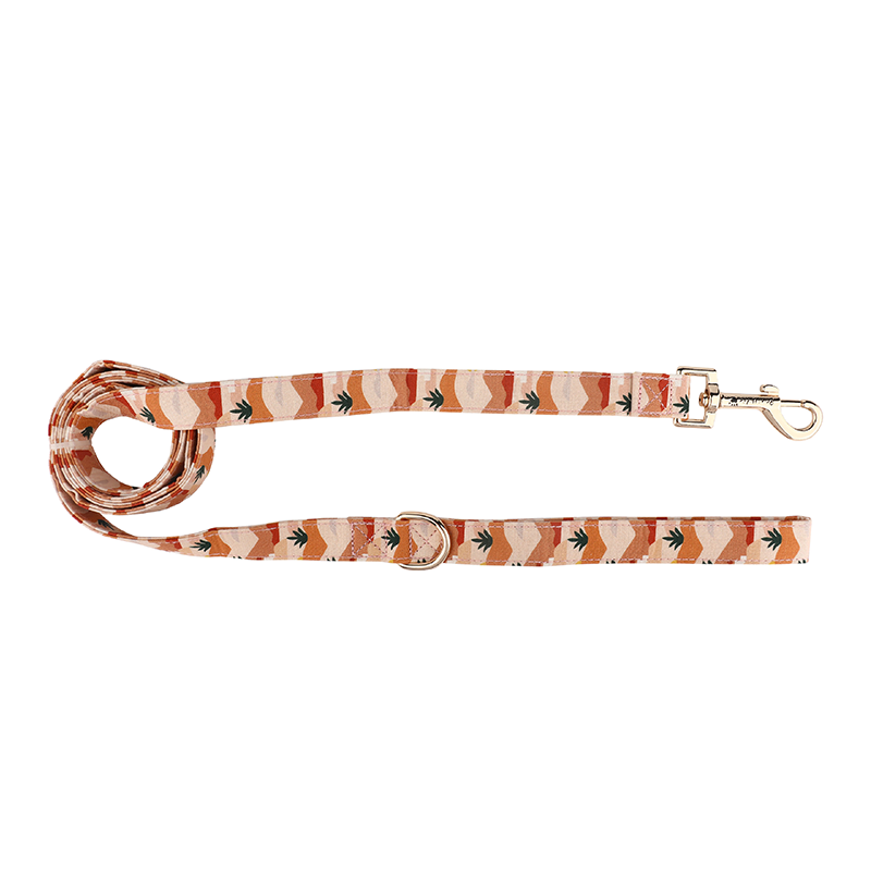 Cat Harness and Leash for Walking-Dessert Sunset, Soft and Adjustable Vest