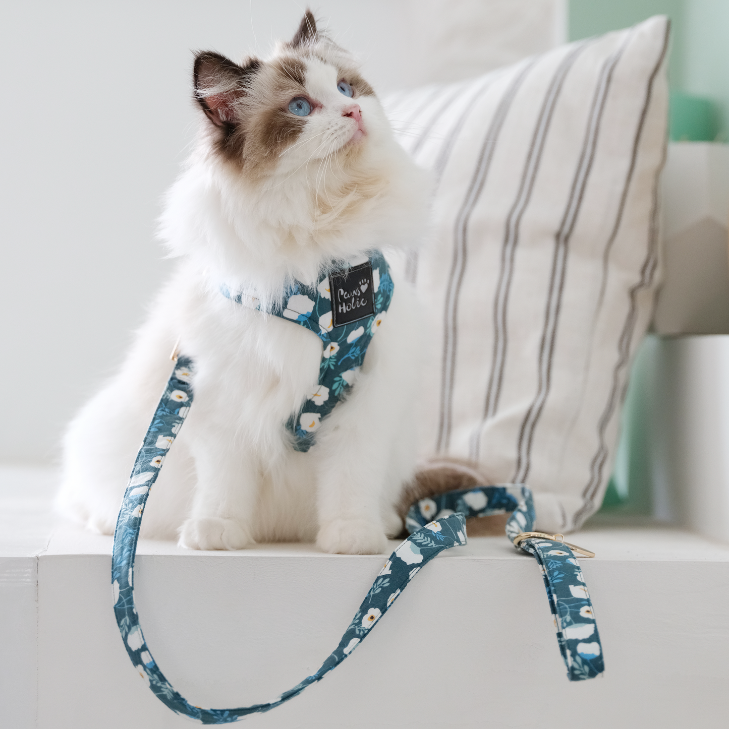 Cat Harness and Leash for Walking-Camellia, Soft and Adjustable Vest