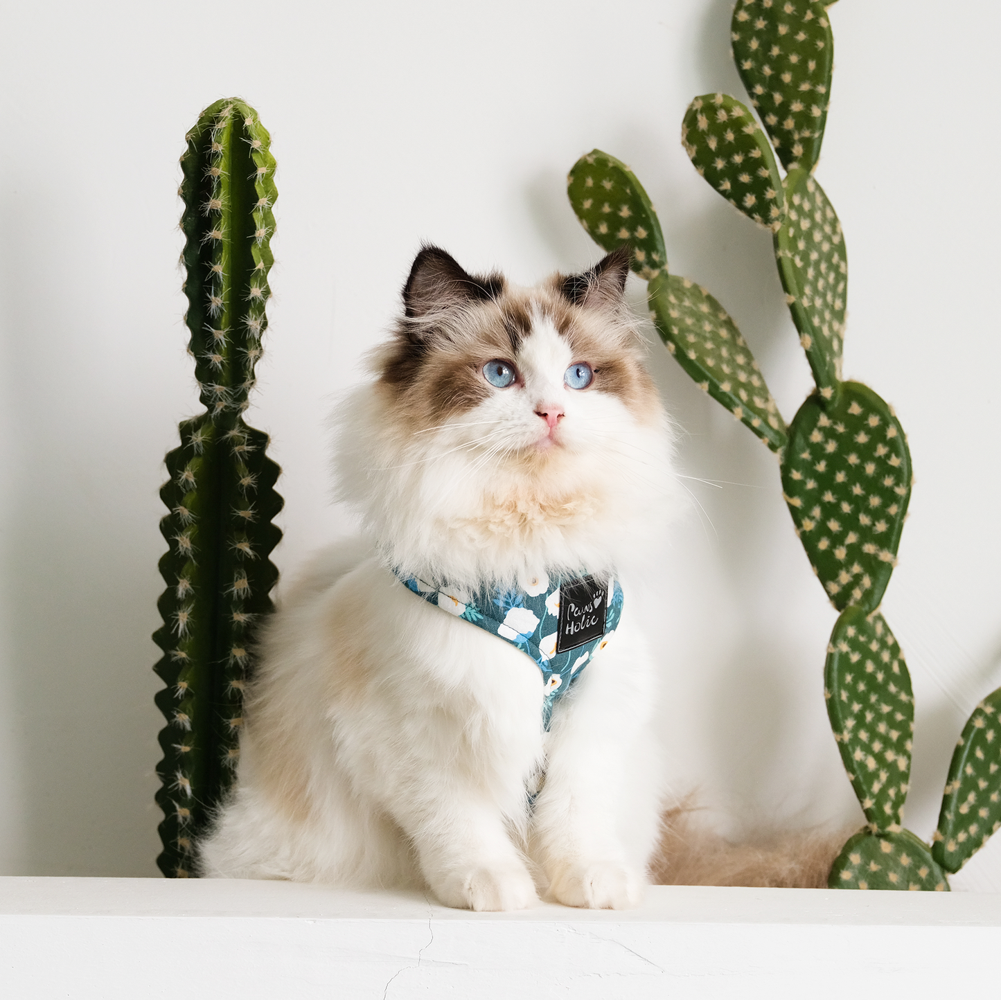 Cat Harness and Leash for Walking-Camellia, Soft and Adjustable Vest