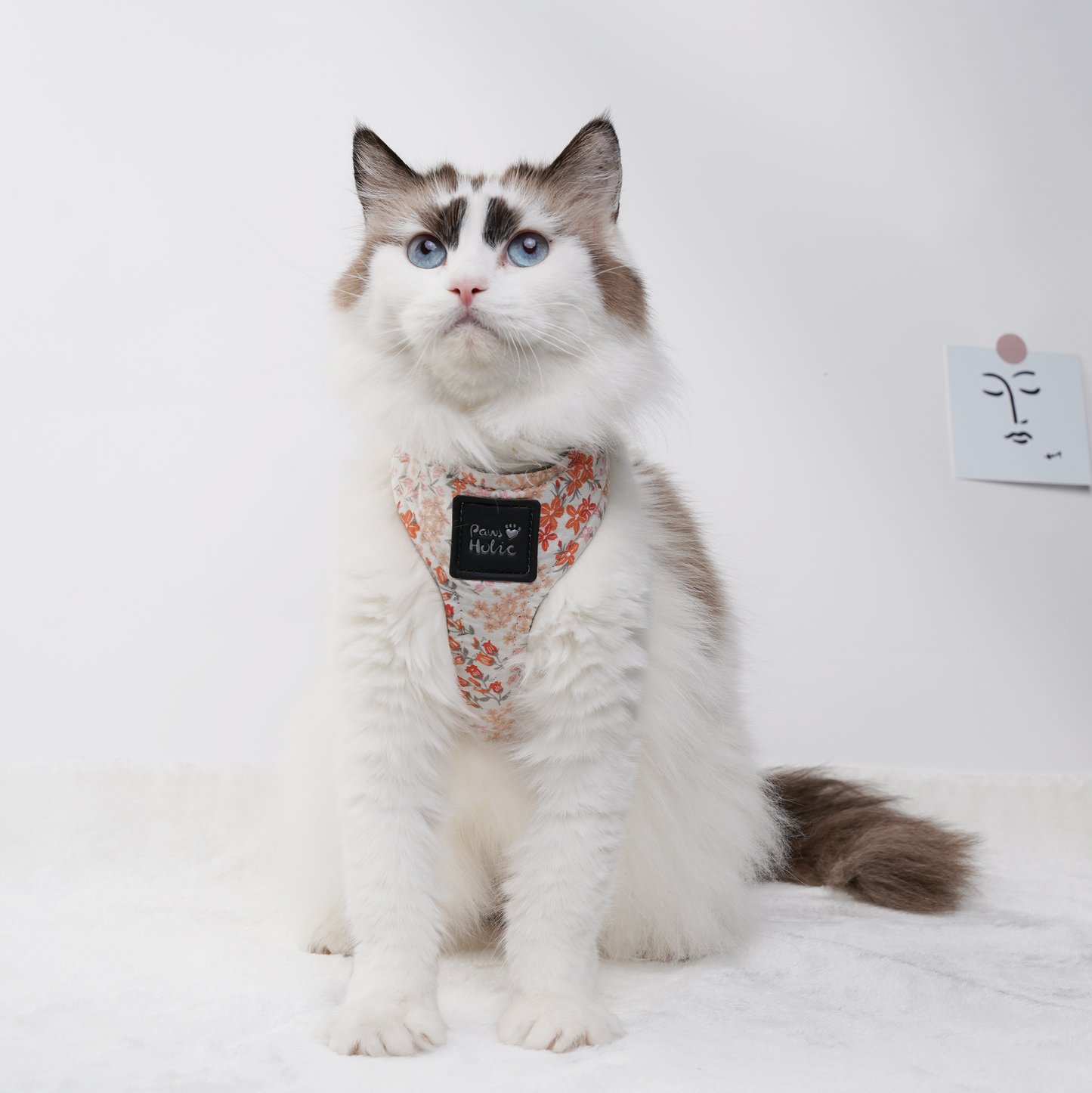 Cat Harness and Leash for Walking-Orange Blossom, Soft and Adjustable Vest