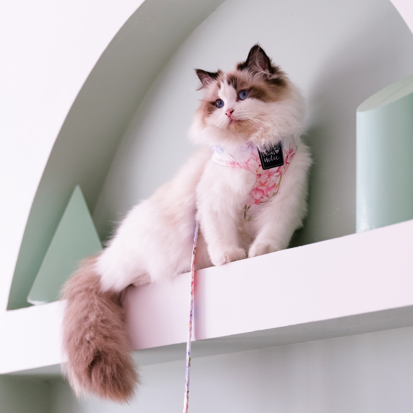 Cat Harness and Leash for Walking-Endless Summer, Soft and Adjustable Vest