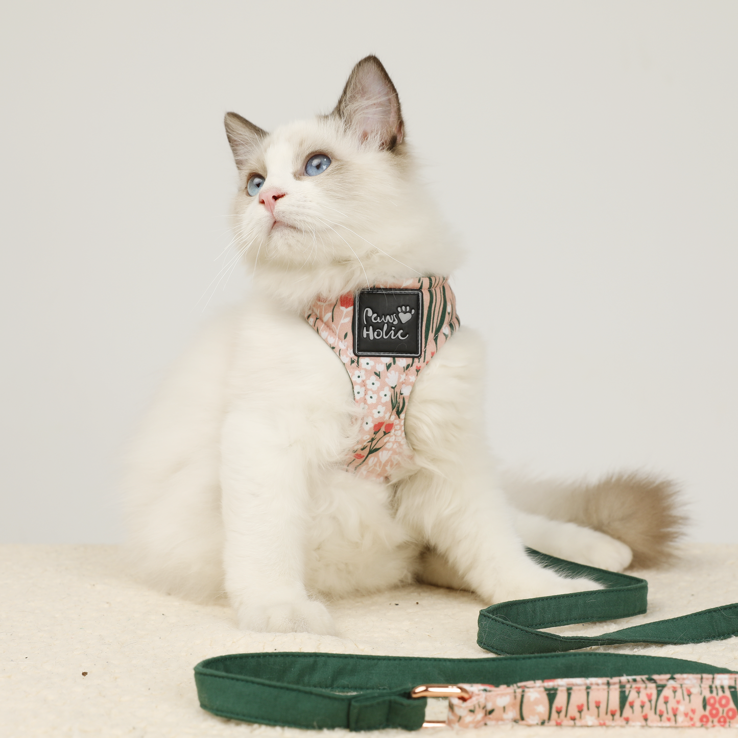 Cat Harness and Leash for Walking-Pink Candy, Soft and Adjustable Vest