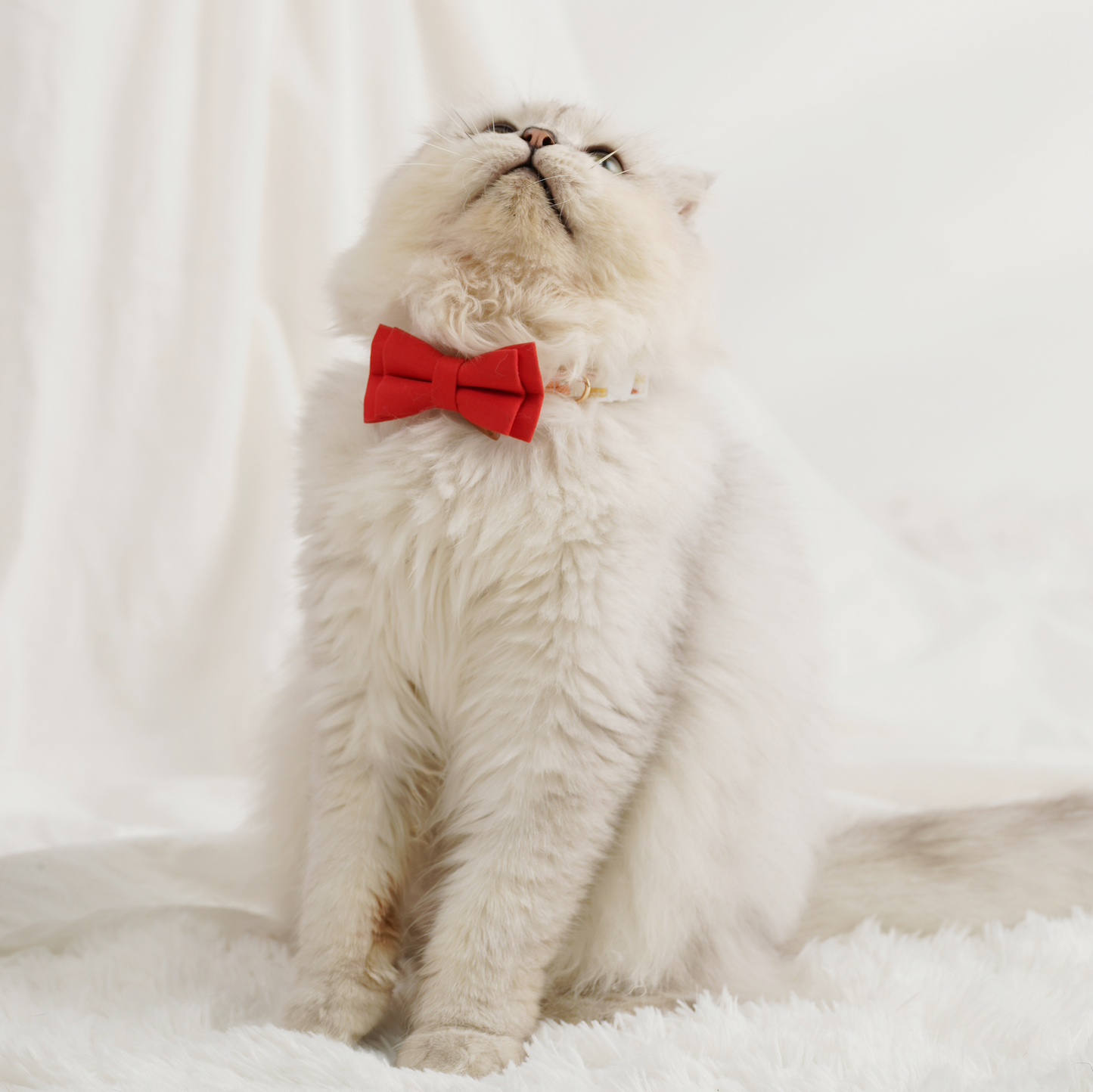Upgraded Cat Collar with Bells and Bow Tie, Safe Breakaway, Ice Stick