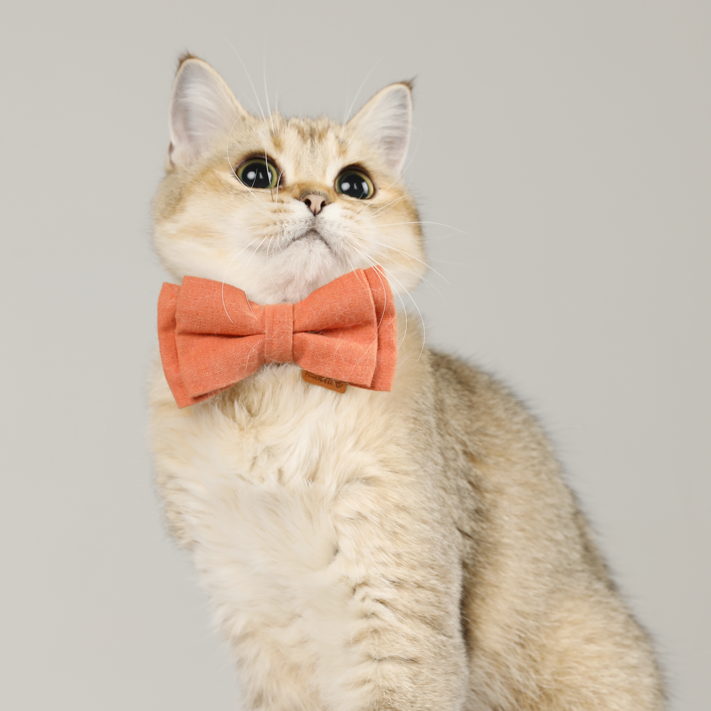 Upgraded Cat Collar with Bells and Bow Tie, Safe Breakaway, Happy Pear