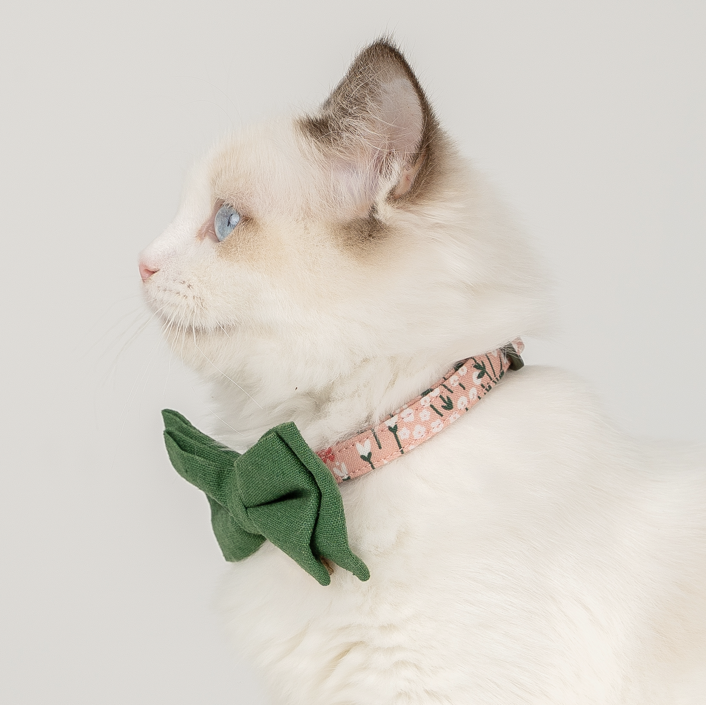 Upgraded Cat Collar with Bells and Bow Tie, Safe Breakaway, Pink Candy