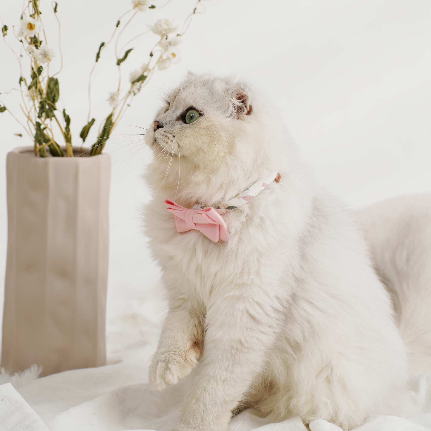 Upgraded Cat Collar with Bells and Bow Tie, Safe Breakaway, Winter Sweet