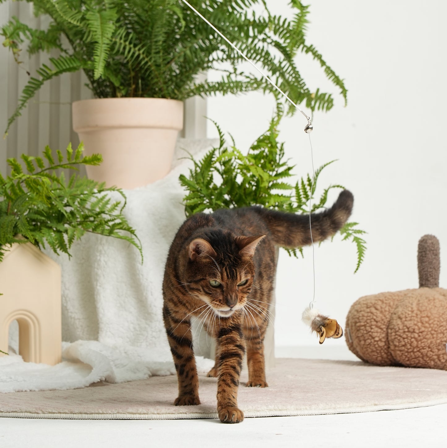Insect Series Retractable Cat-Teasing Stick