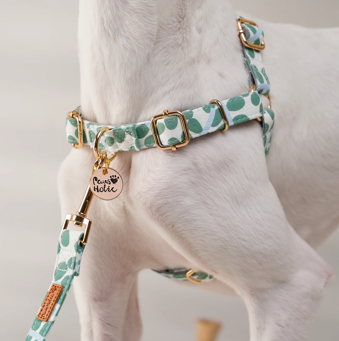 Pulling Stop Dog Harness, Easy Walk&Take Control-Minty Dew