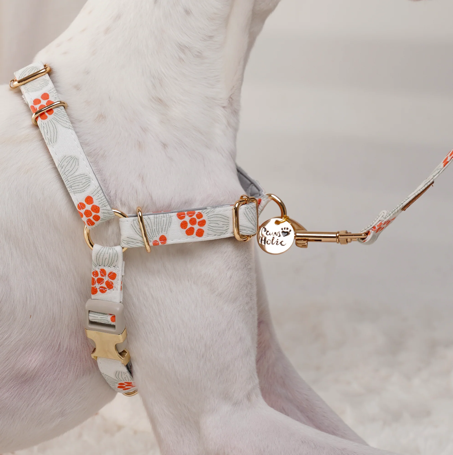 Pulling Stop Dog Harness, Easy Walk&Take Control-First Snow