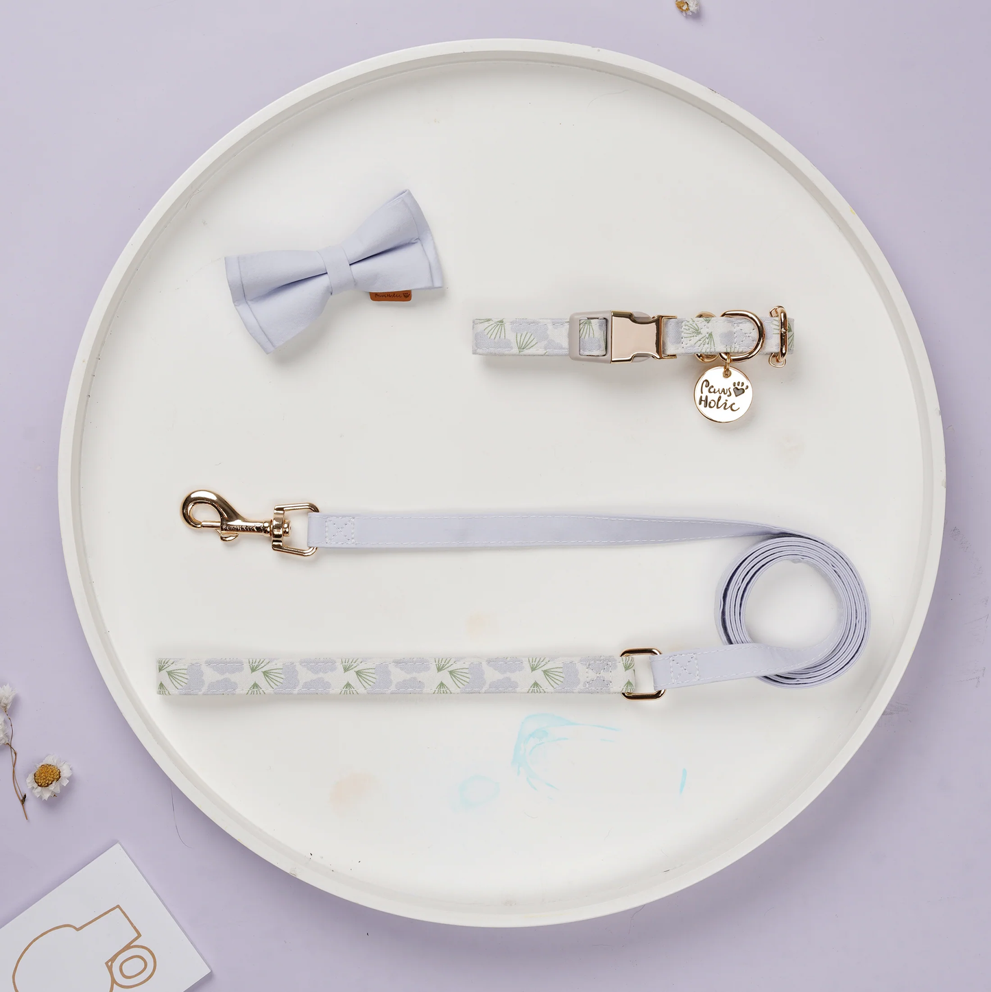 Dog Collar, Robust and Durable Design-Dandelion