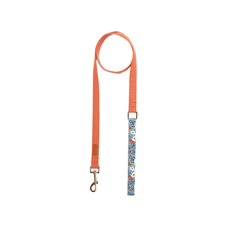 Dog Collar, Robust and Durable Design-Happy Pear