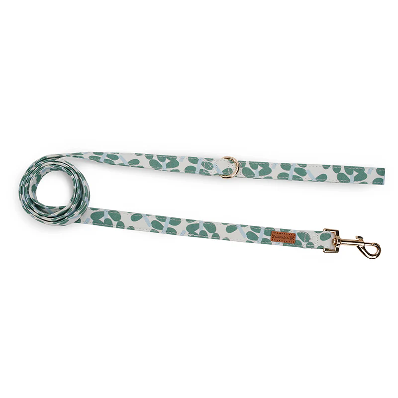 Pulling Stop Dog Harness, Easy Walk&Take Control-Minty Dew