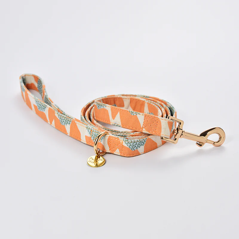Pulling Stop Dog Harness, Easy Walk&Take Control-Loquat Tree