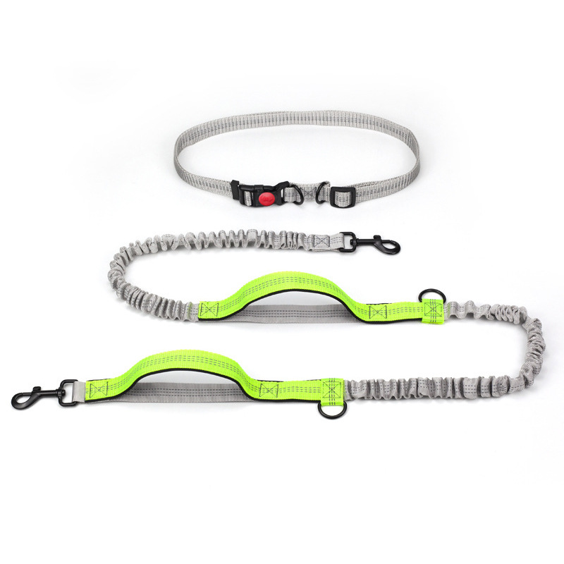 Outdoor Running Reflective Double Telescopic Dog Leash