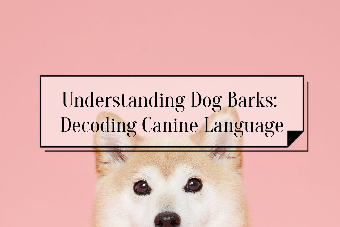 Title: How to understand dog barks