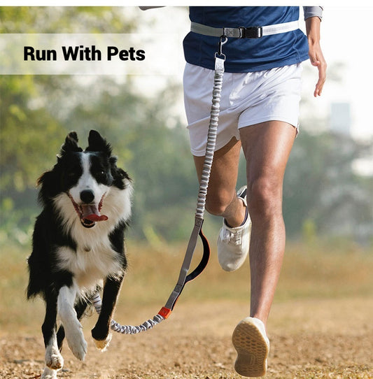 Outdoor Running Reflective Double Telescopic Dog Leash