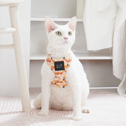 Cat Harness and Leash for Walking-Dessert Sunset,  Soft and Adjustable Vest
