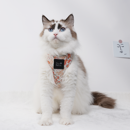 Cat Harness and Leash for Walking-Orange Blossom,  Soft and Adjustable Vest