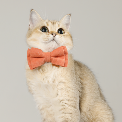 Upgraded Cat Collar with Bells and Bow Tie, Safe Breakaway, Happy Pear